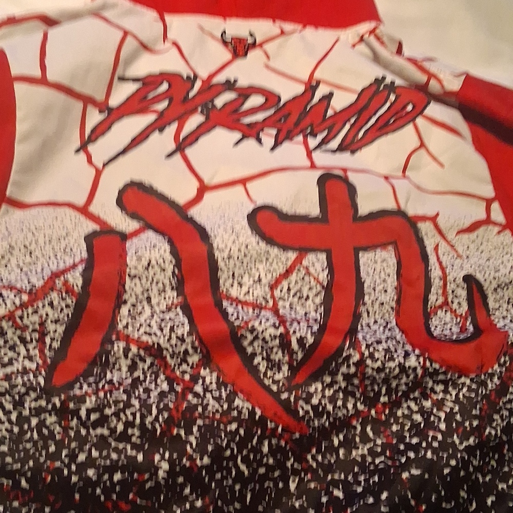 clearence from $400 Bulls Red and White hoodie - Picture 11 of 16